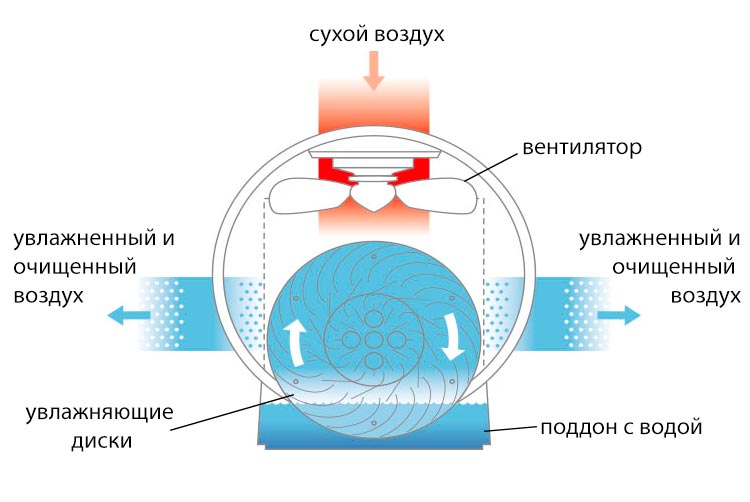 Мойка или очиститель воздуха: что защитит от пыли, аллергенов, вирусов?