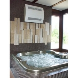 Осушитель воздуха для бассейнов Dantherm CDP 70 NEW